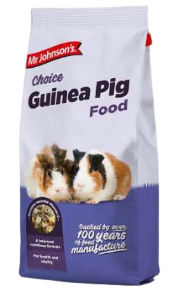 Guinea Pig Choice